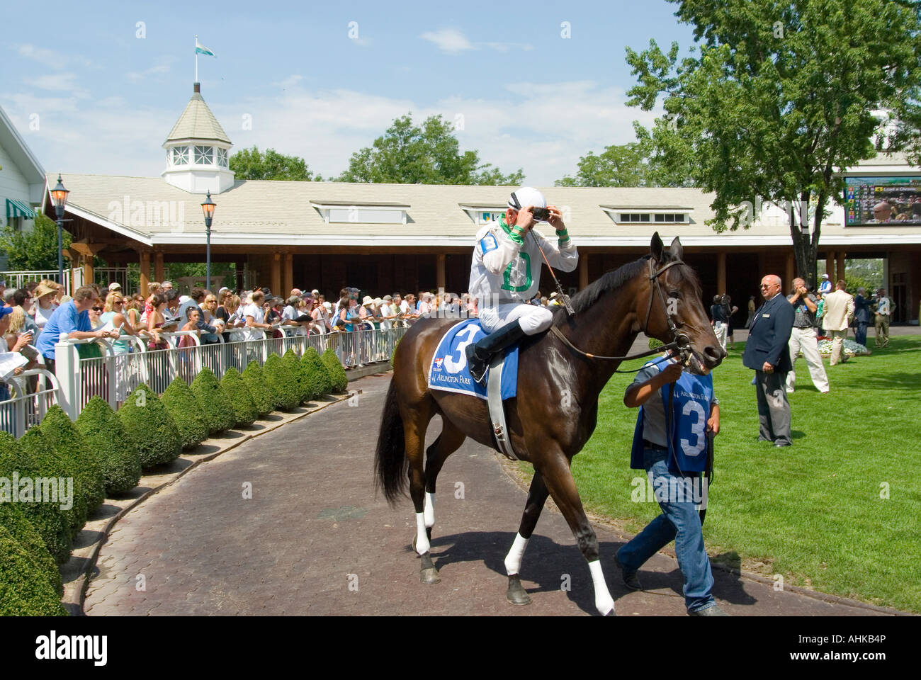 Horse Race Paddock Stock Photo Alamy