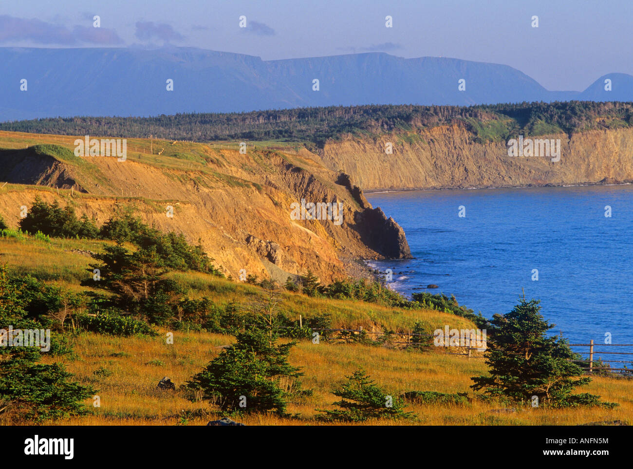 Codroy, Newfoundland, Canada Stock Photo Alamy
