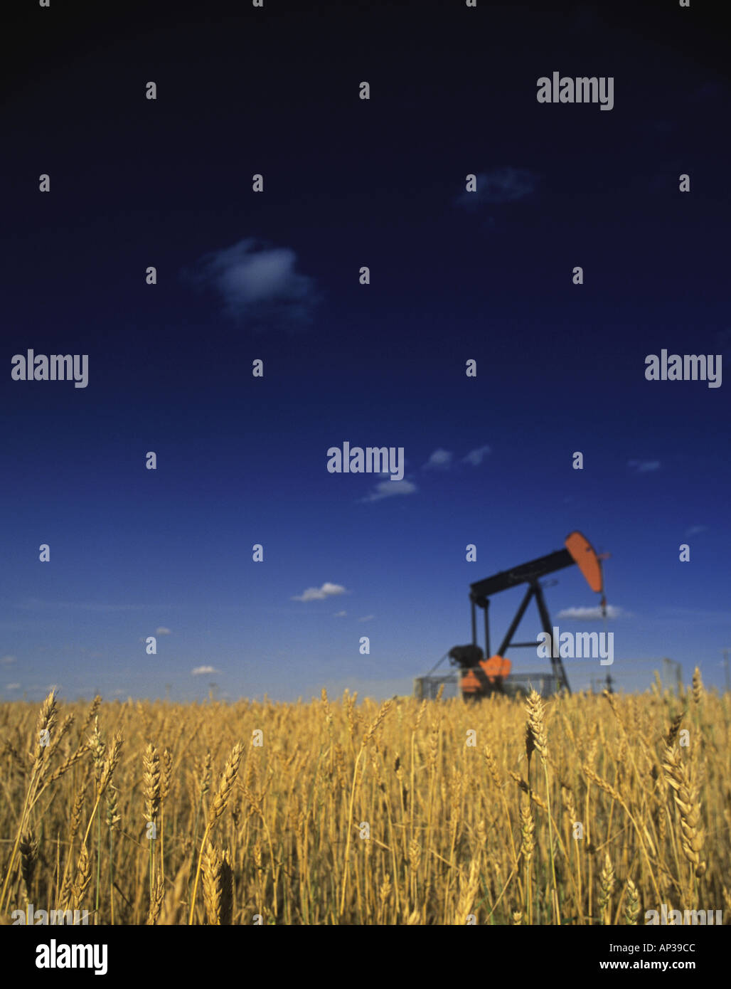 Oil pump Stock Photo Alamy