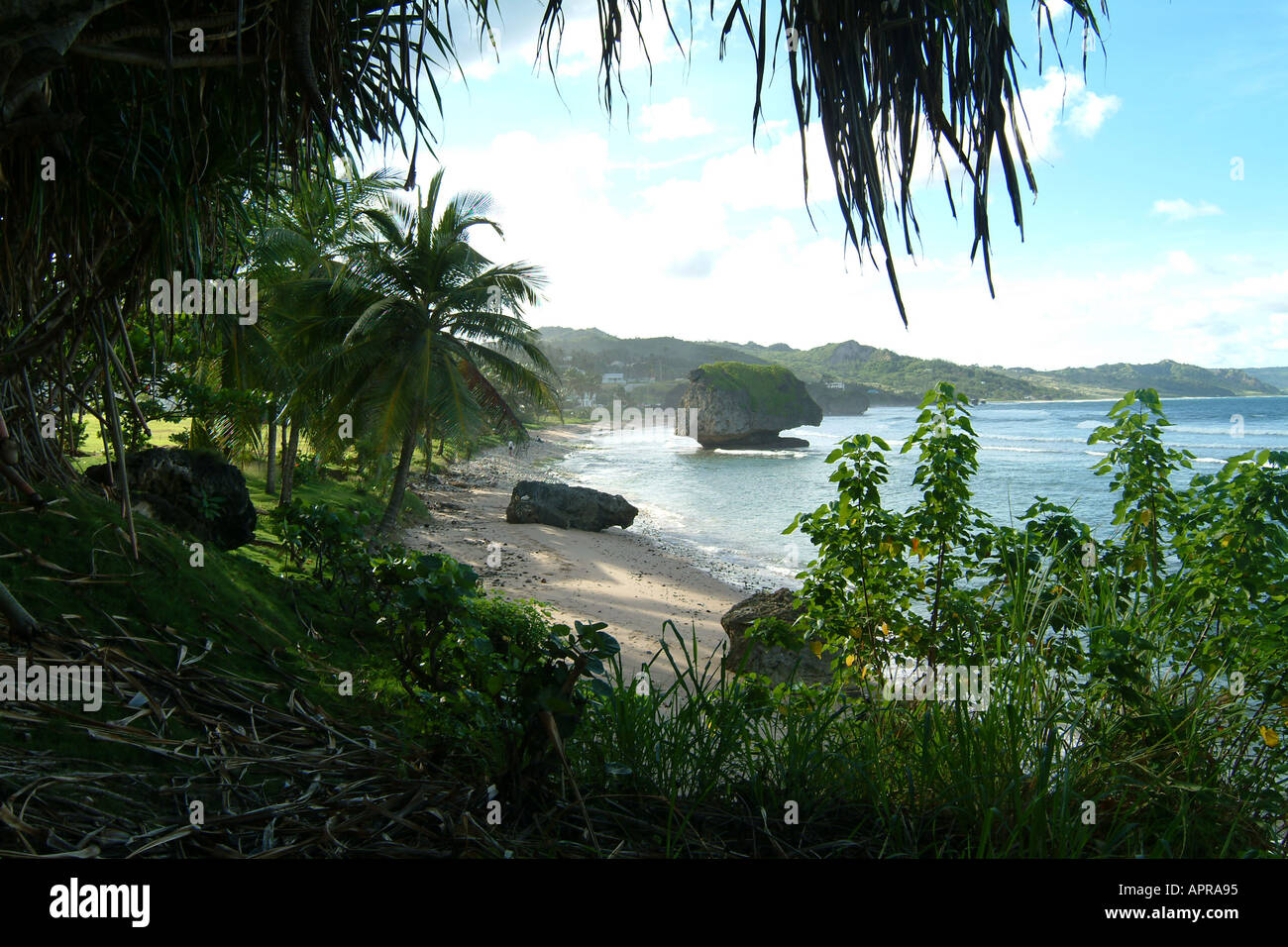 Bathsheba Barbados Stock Photo Alamy