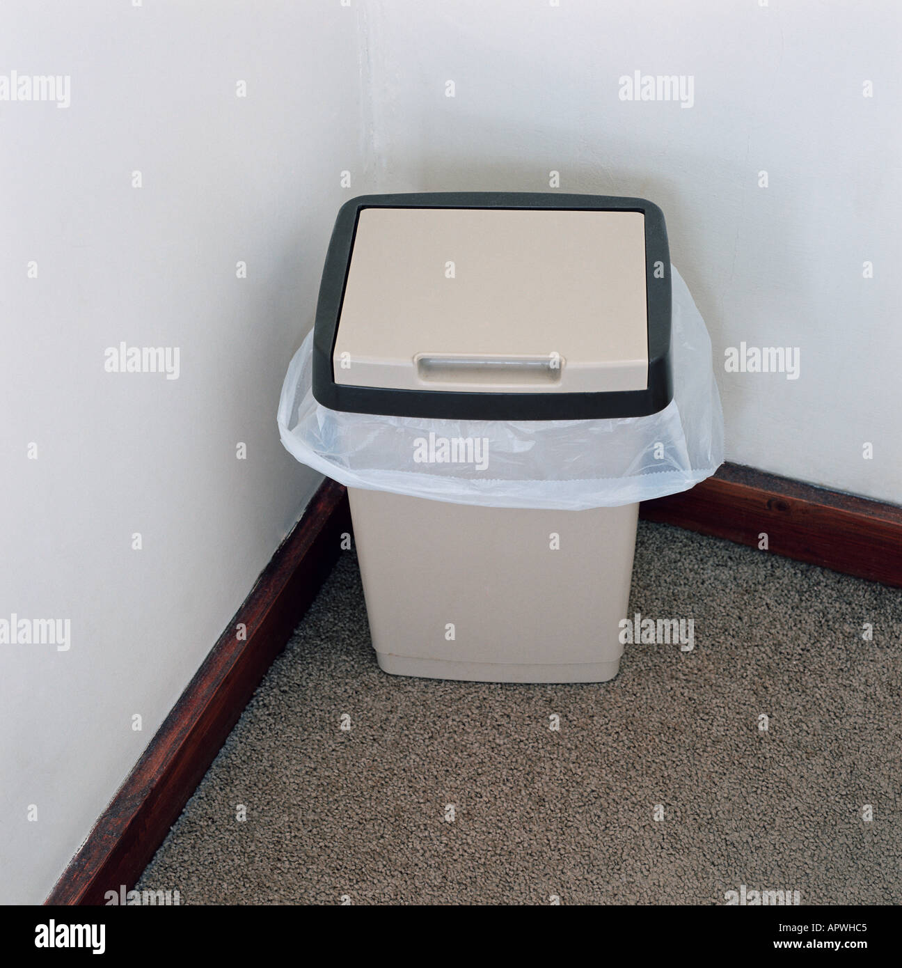 Plastic rubbish bin Stock Photo Alamy