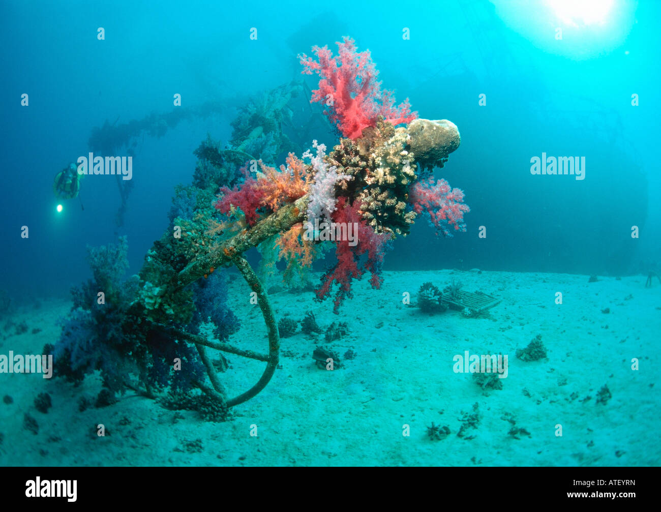 Giannis d wreck hires stock photography and images Alamy
