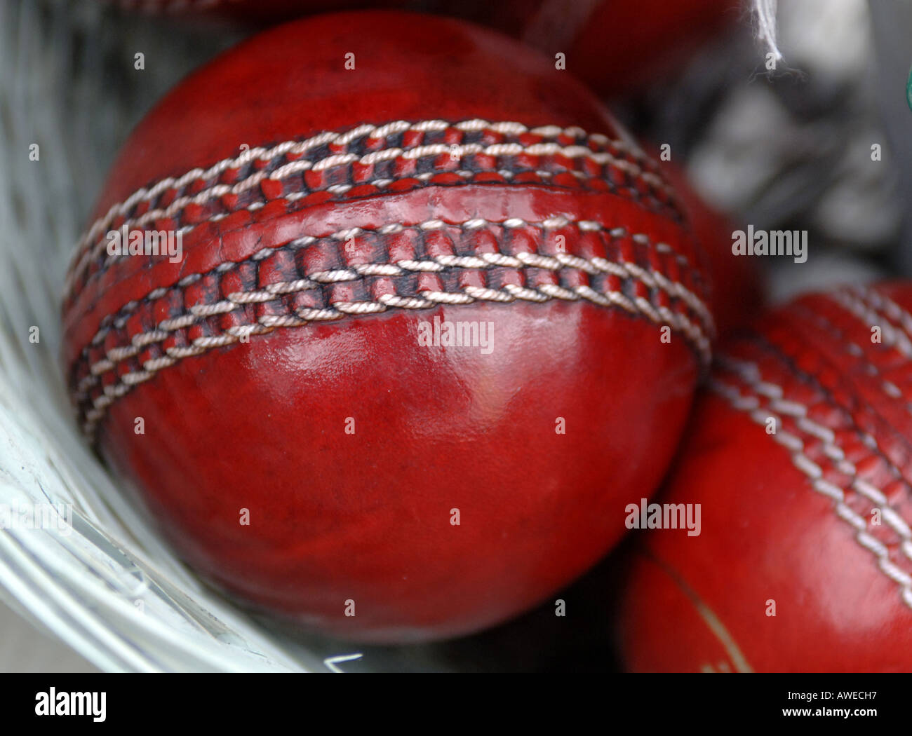 Kookaburra Cricket Balls