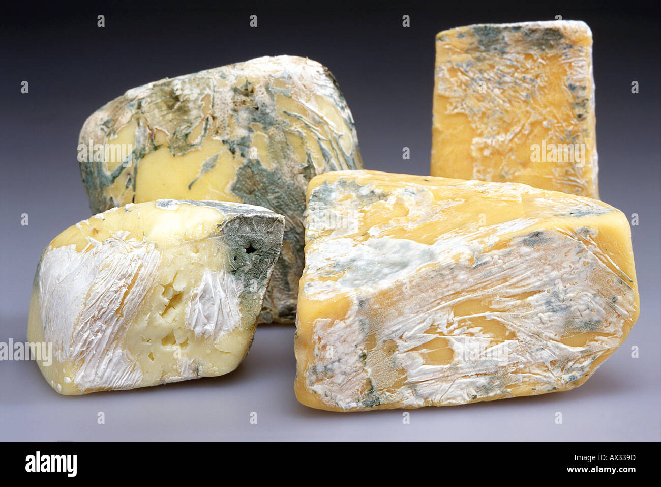 Moldy Provolone Cheese