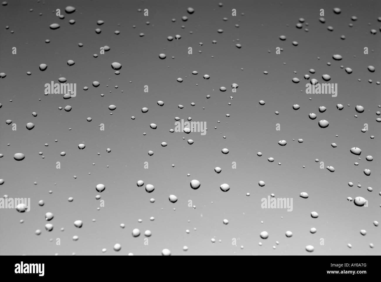 RAINDROPS Stock Photo Alamy