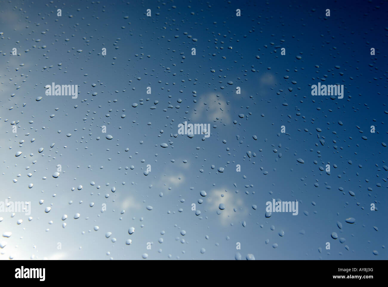 RAINDROPS Stock Photo Alamy