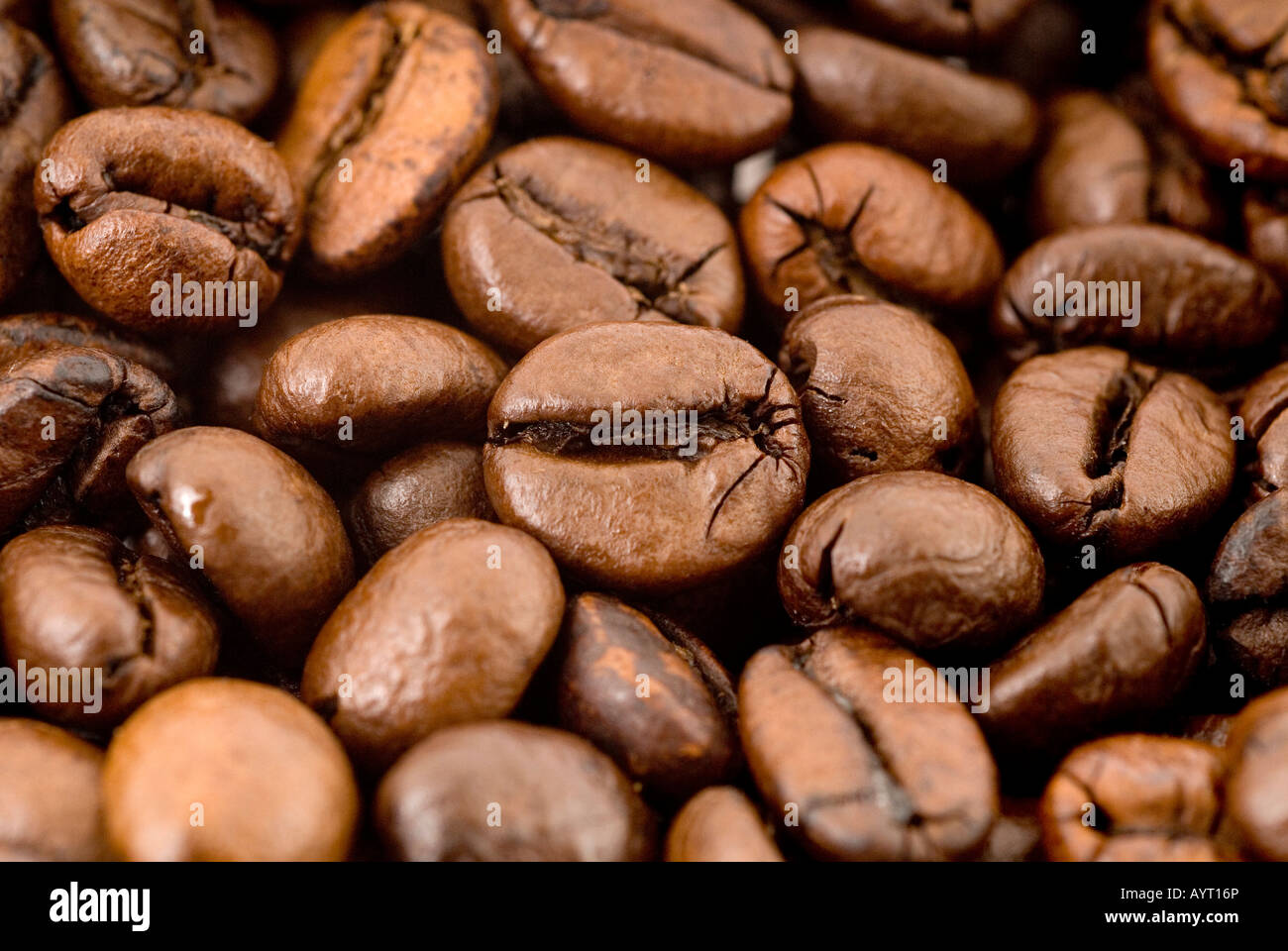 Coffee beans, macro shot Stock Photo Alamy