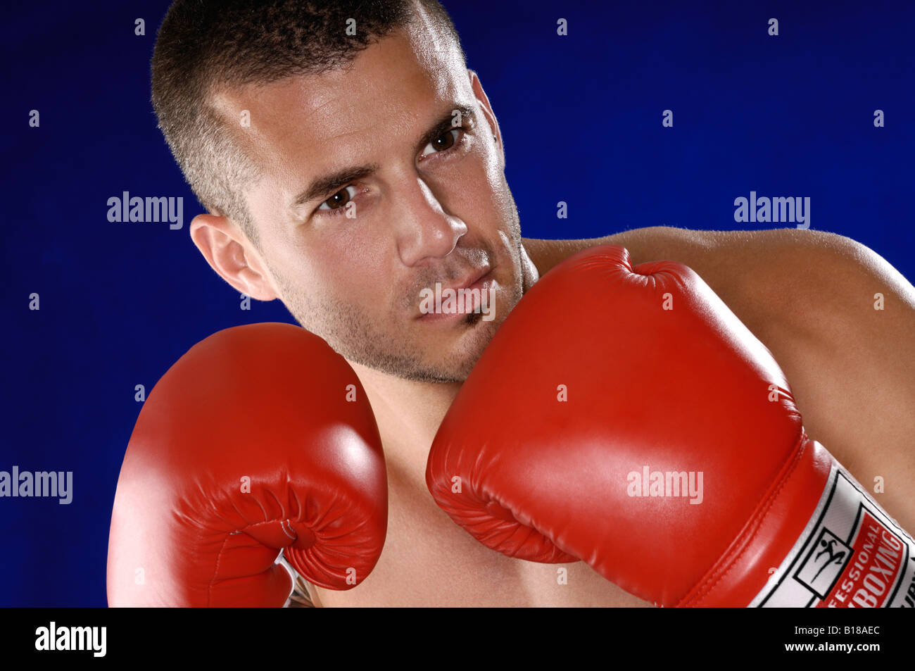 Boxers face hires stock photography and images Alamy