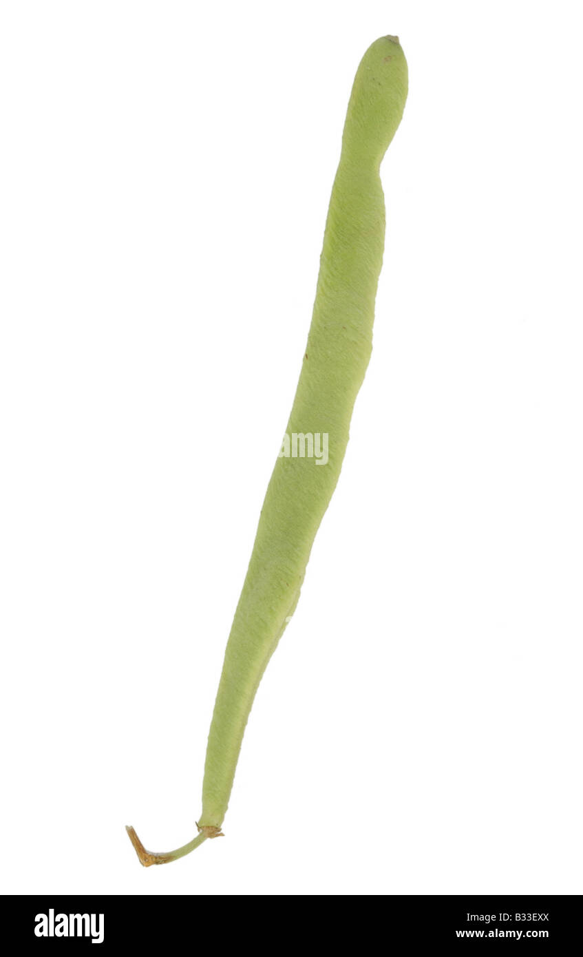 beans string runner Stock Photo Alamy
