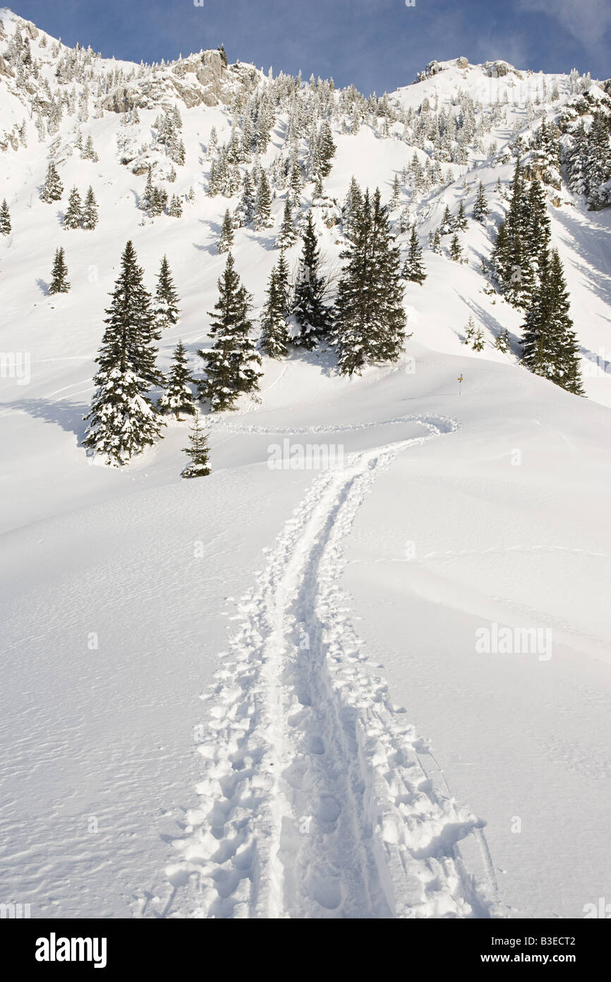 Tracks in snow Stock Photo Alamy
