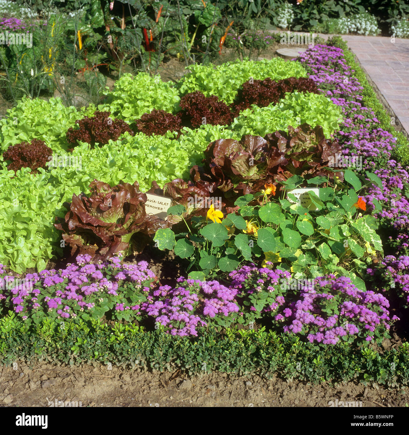 Flower and vegetable patches hires stock photography and images Alamy