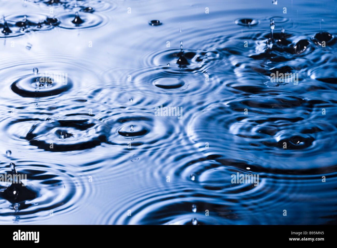 Top 999+ rain drops images – Amazing Collection rain drops images Full 4K