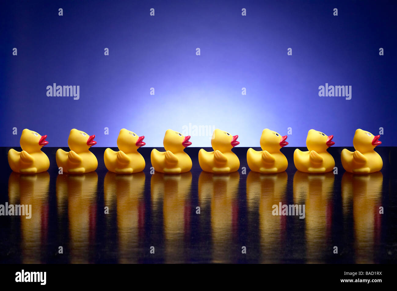 Ducks In A Row Stock Photos & Ducks In A Row Stock Images Alamy