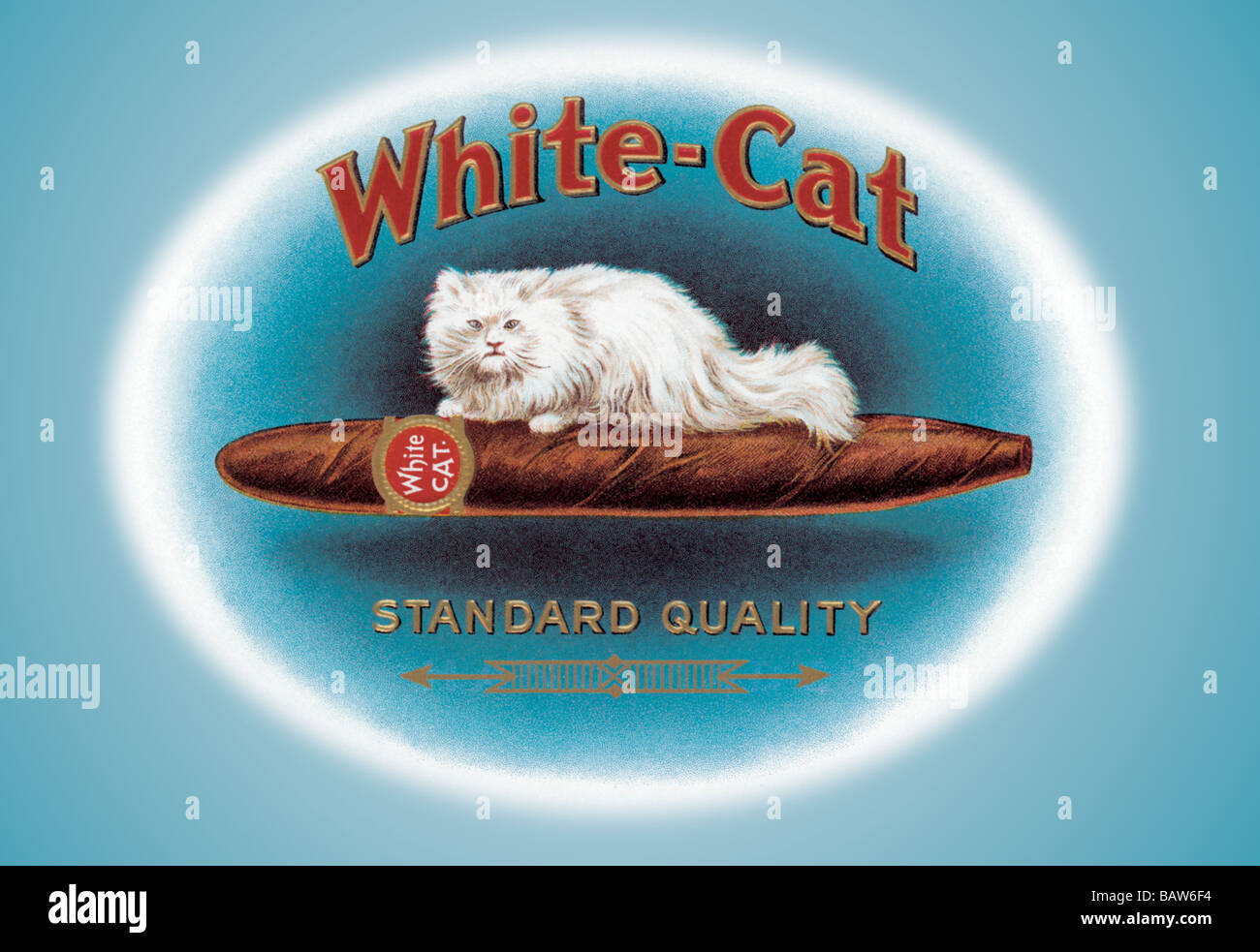 WhiteCat Cigars Stock Photo Alamy