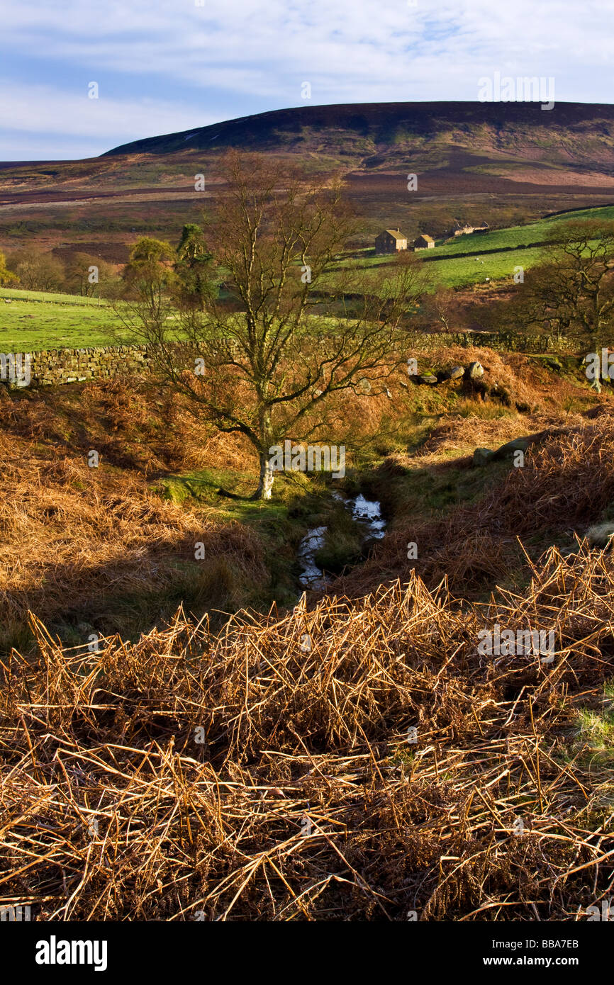 Dale Head Farm Stock Photo Alamy