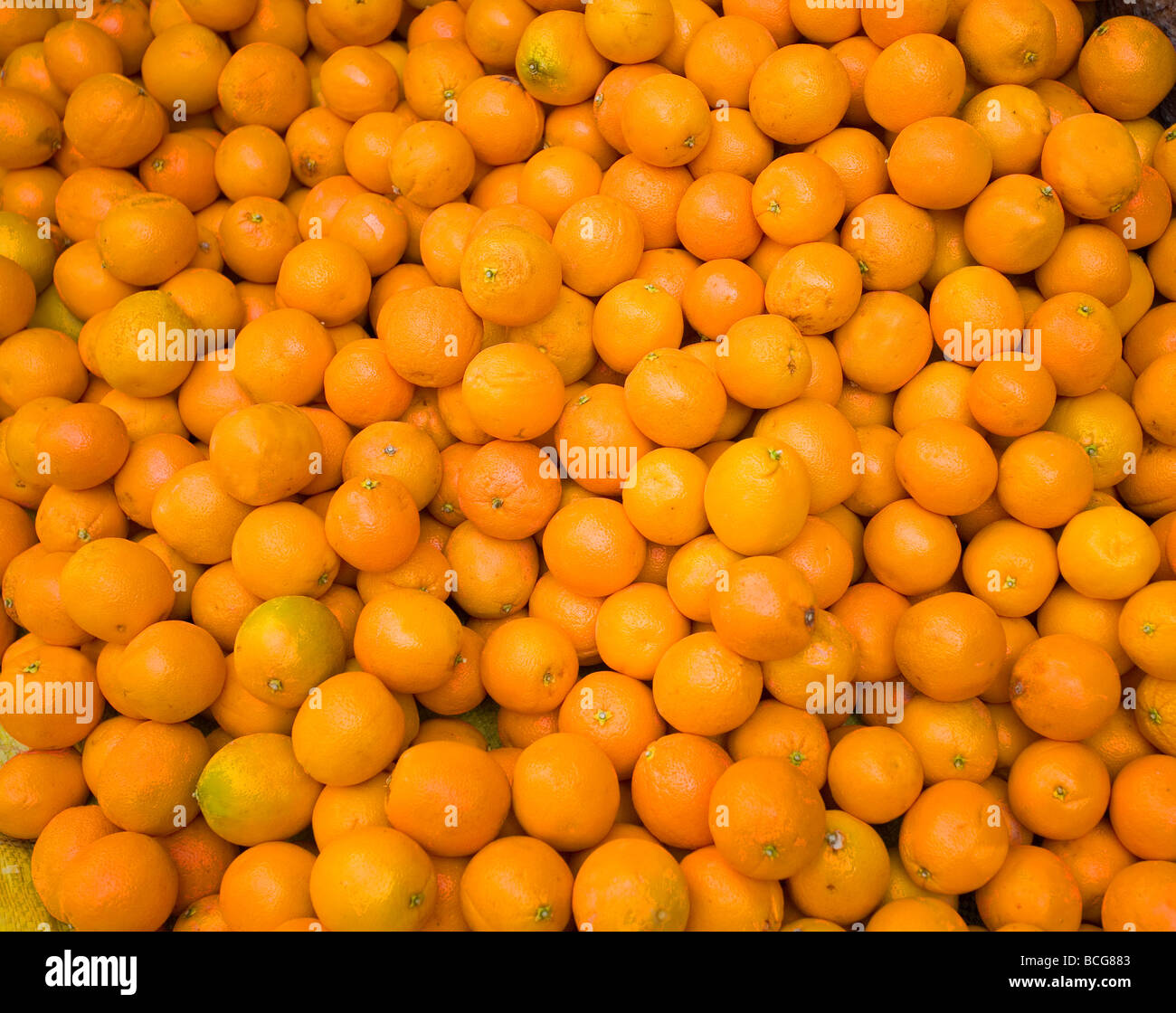 Moroccan Oranges Stock Photo Alamy