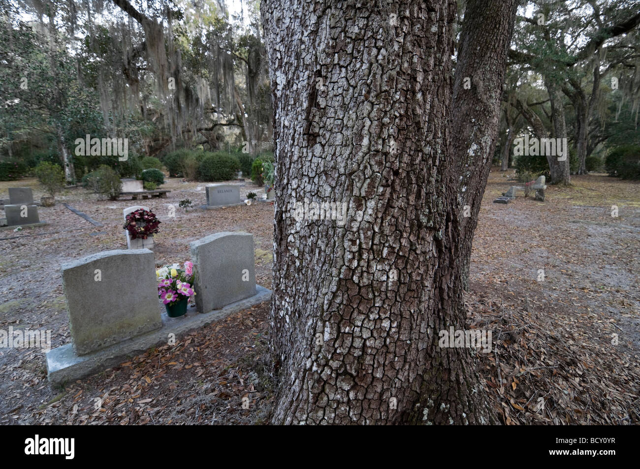 Micanopy historic cemetery Micanopy Florida Stock Photo Alamy