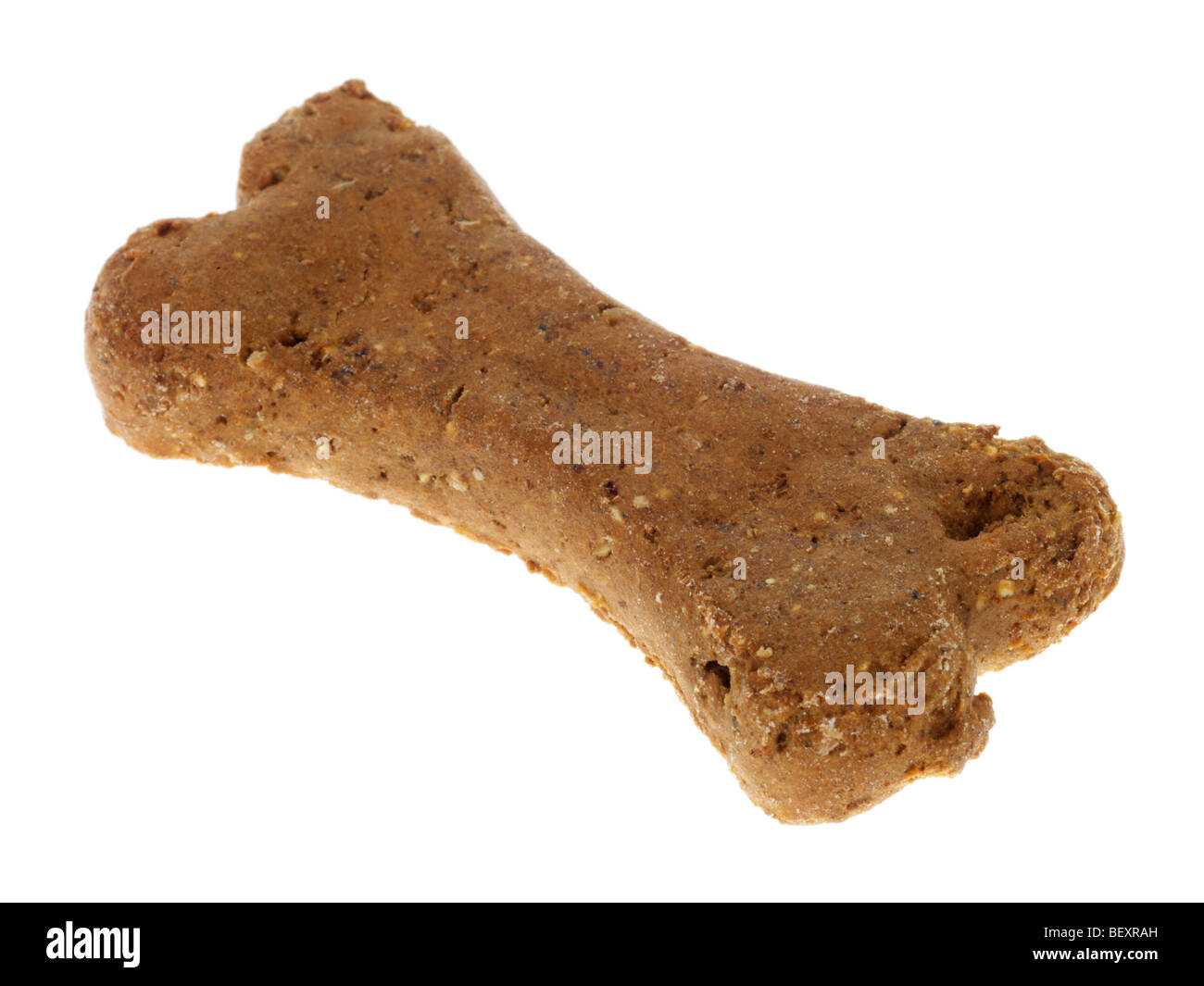 Dog bone hires stock photography and images Alamy