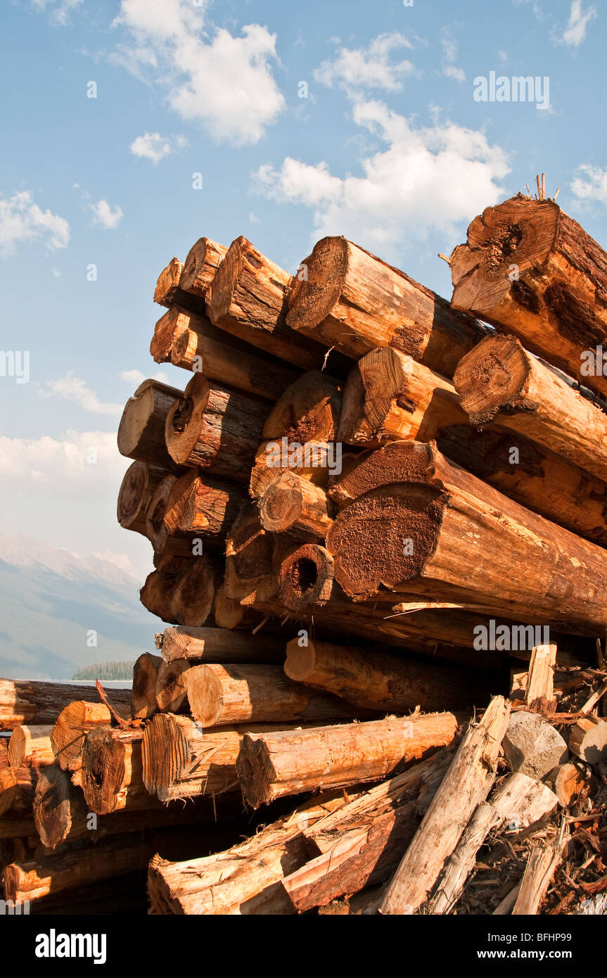 Logging industry canada logs hires stock photography and images Alamy