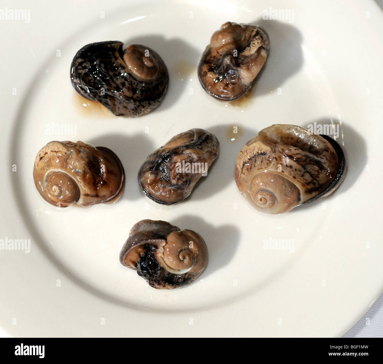 Edible snails gb hires stock photography and images Alamy