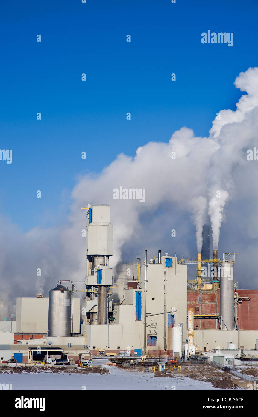 A working pulp mill Stock Photo Alamy