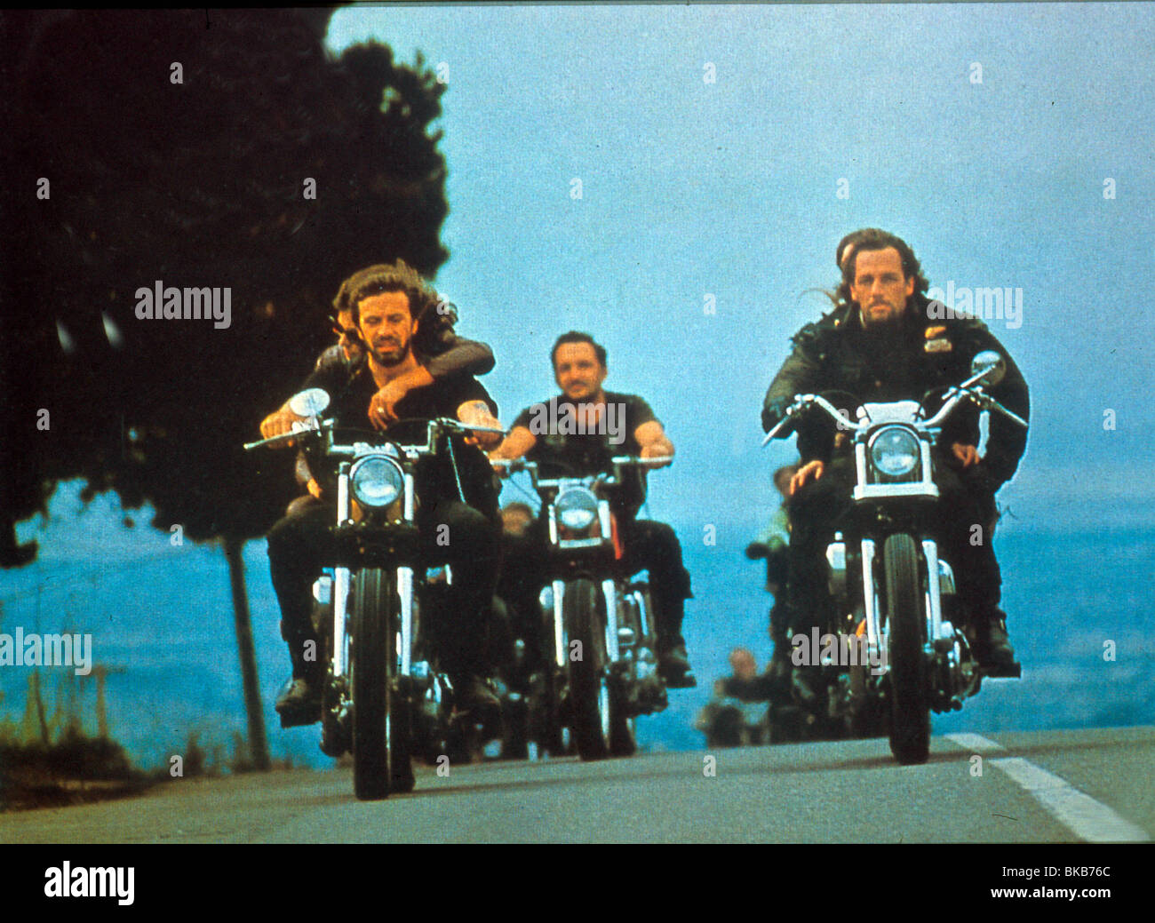 HELLS ANGELS ON WHEELS(1967 Stock Photo Alamy