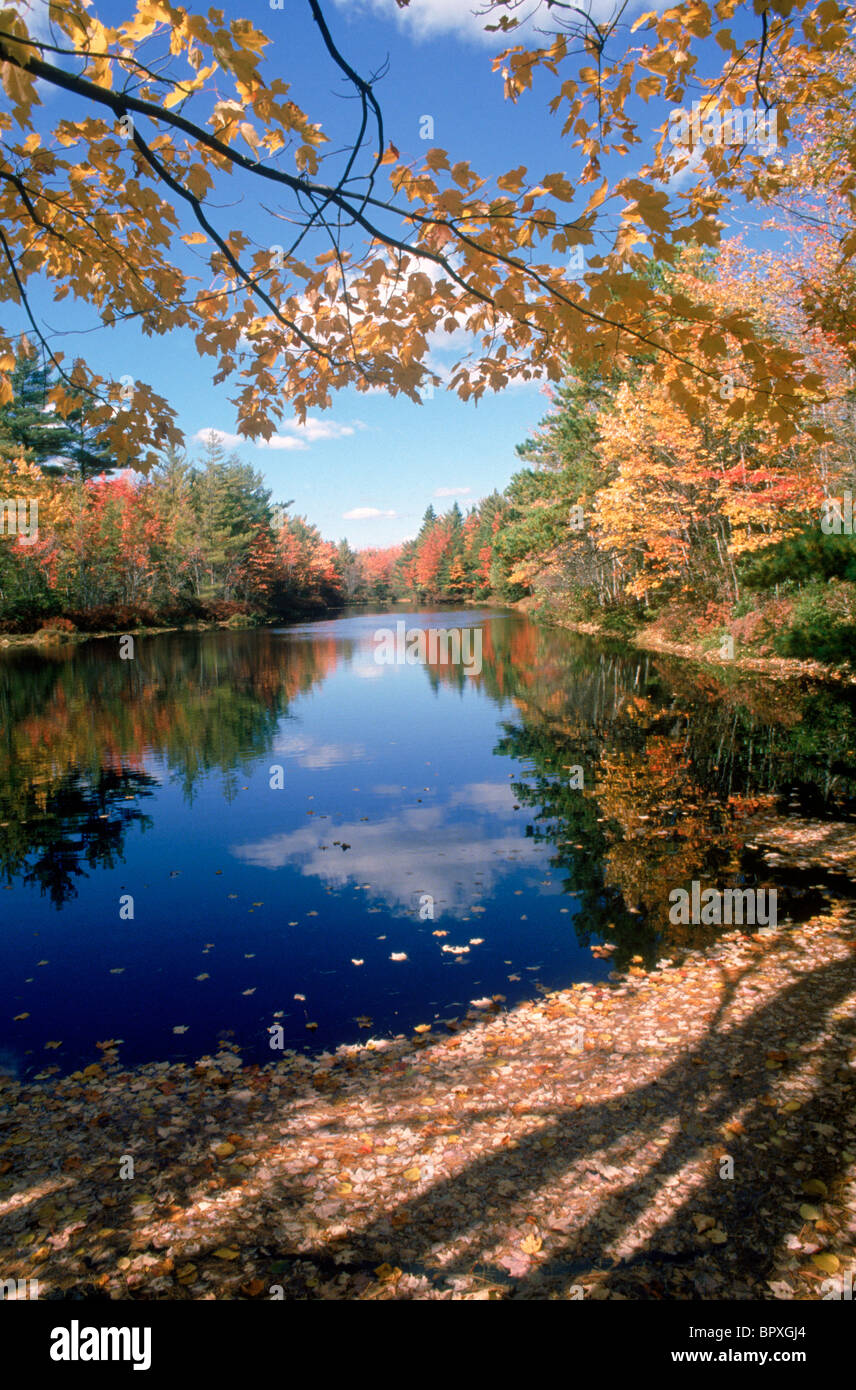 fall pond reflections Stock Photo Alamy