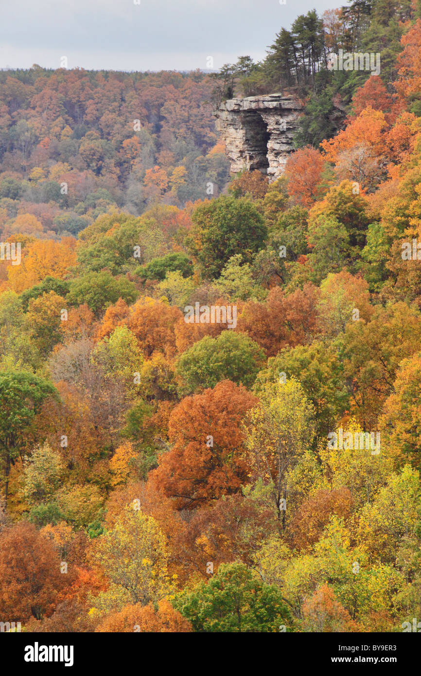 Beersheba springs hires stock photography and images Alamy