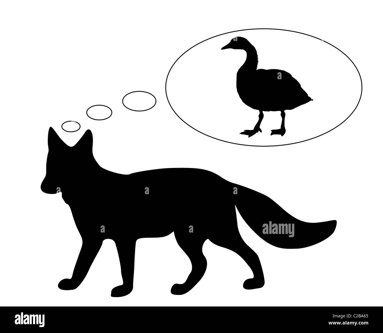 Red fox diet Stock Photo Alamy