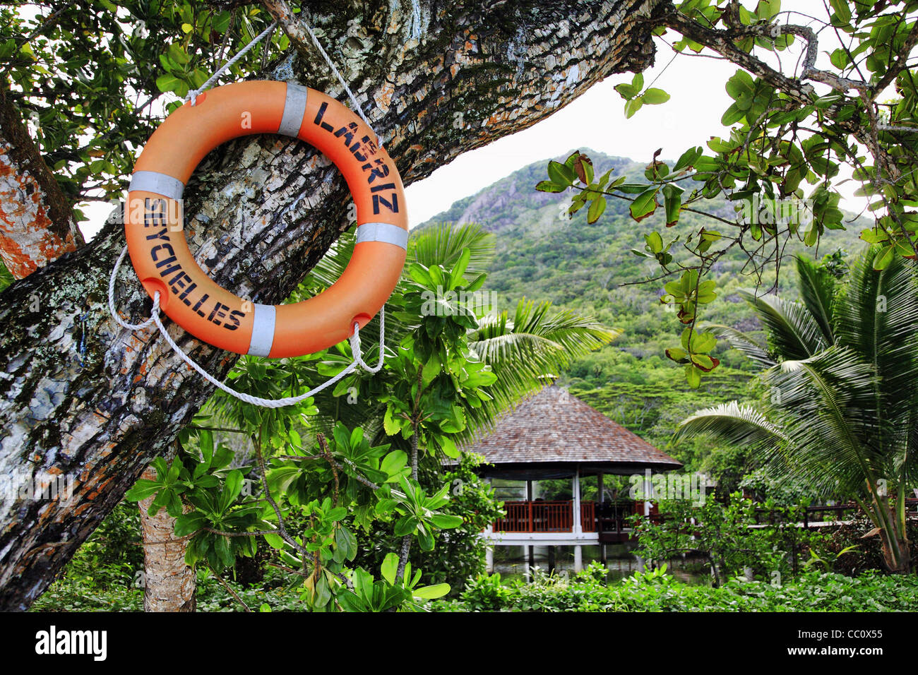 Life Saving Ring Stock Photo Alamy