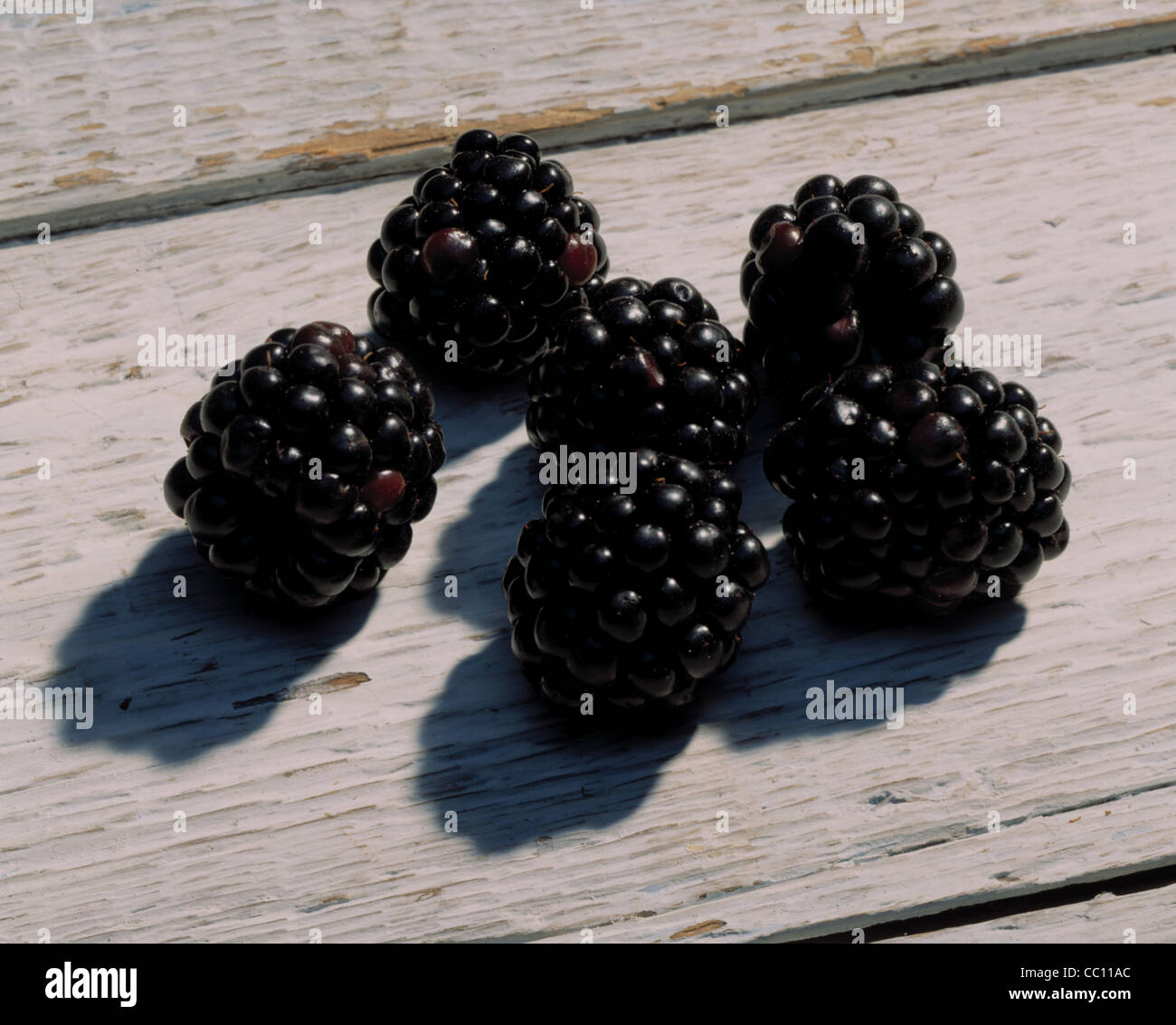 Cut out Brambles Stock Photo Alamy