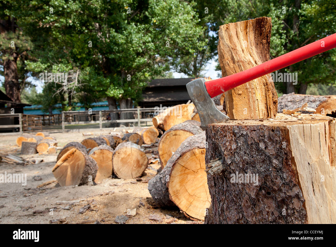 Tree Cutting Axe High Resolution Stock Photography and Images Alamy