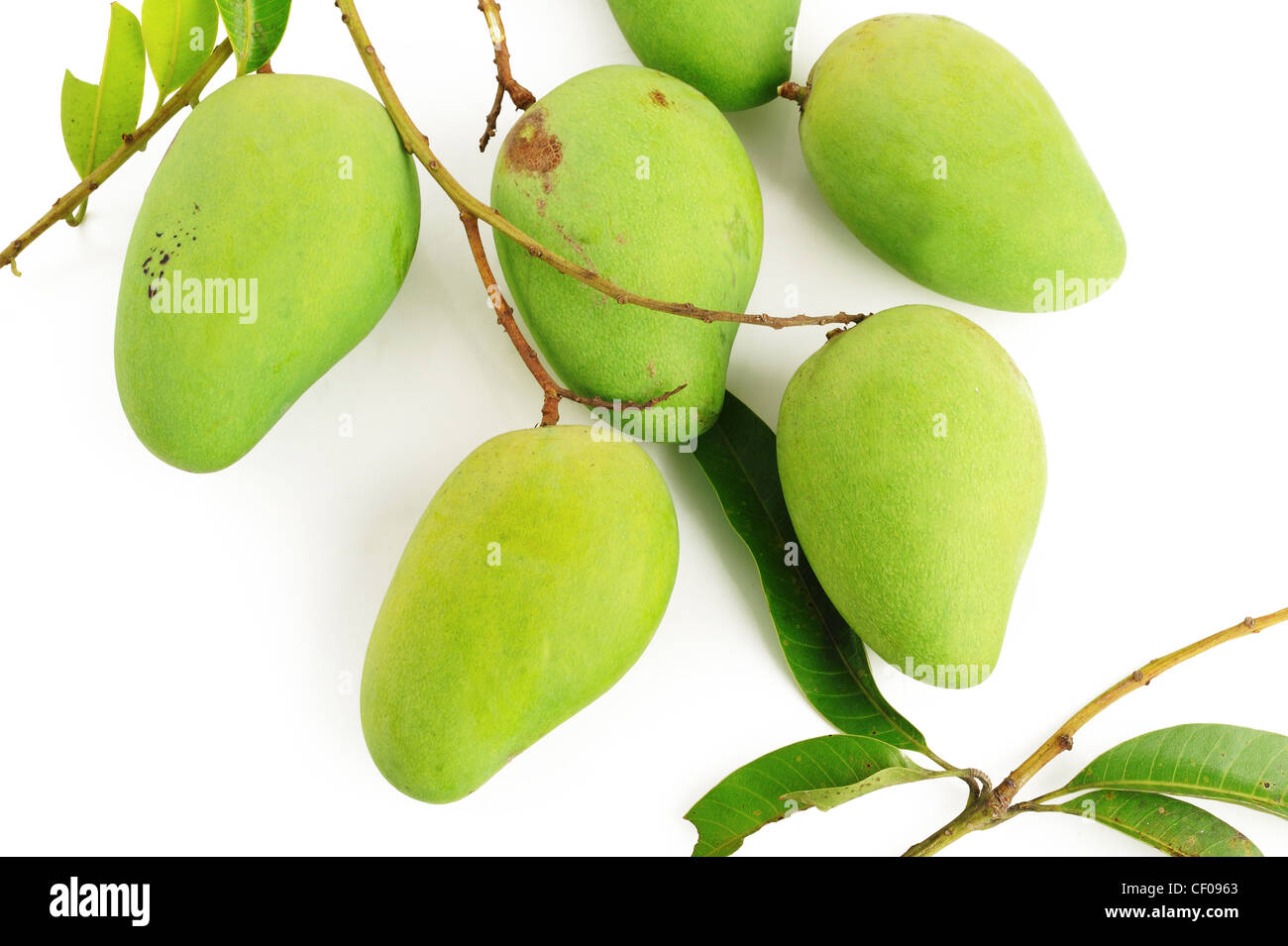 Raw mango hires stock photography and images Alamy