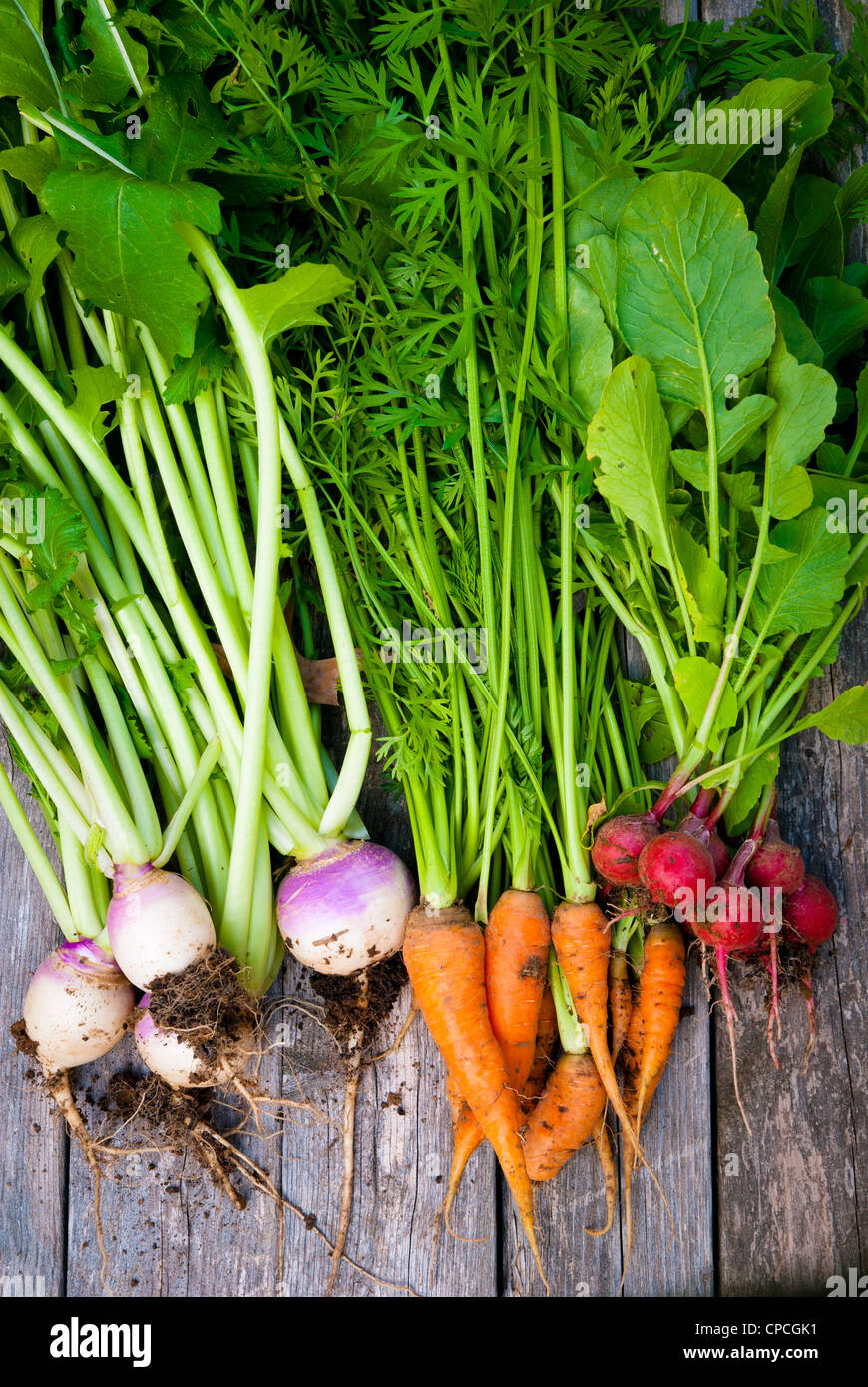 Root vegtables hires stock photography and images Alamy