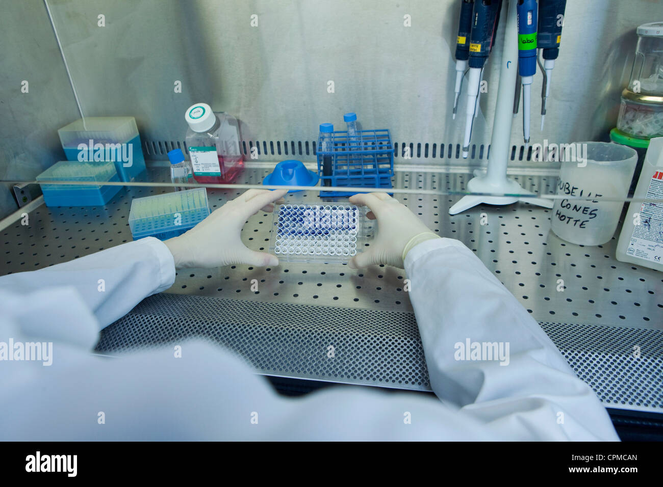 Cell culture hood hires stock photography and images Alamy