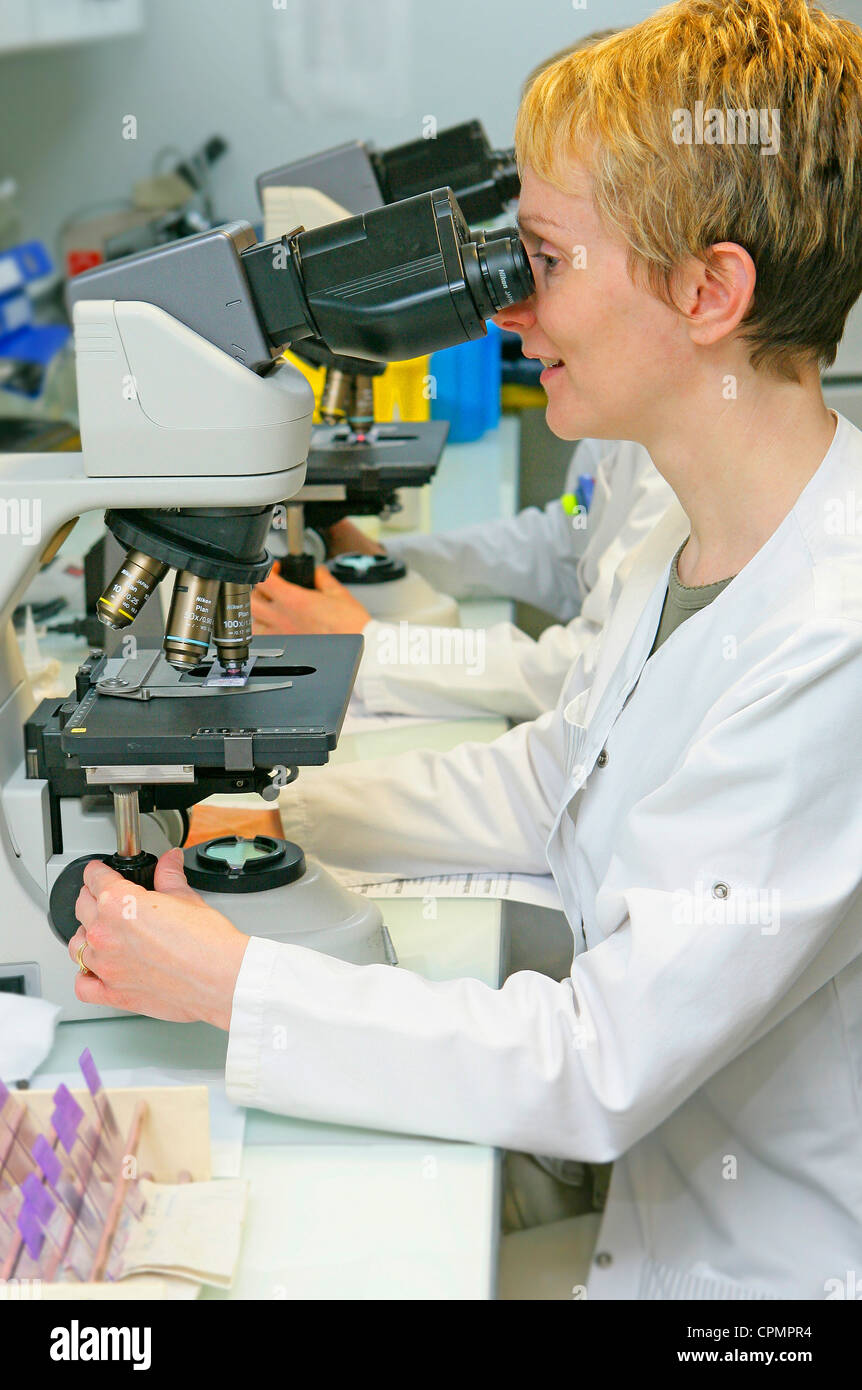 LABORATORY WORKER Stock Photo Alamy