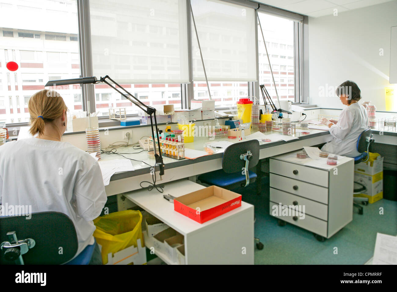 Bacteriology High Resolution Stock Photography and Images Alamy