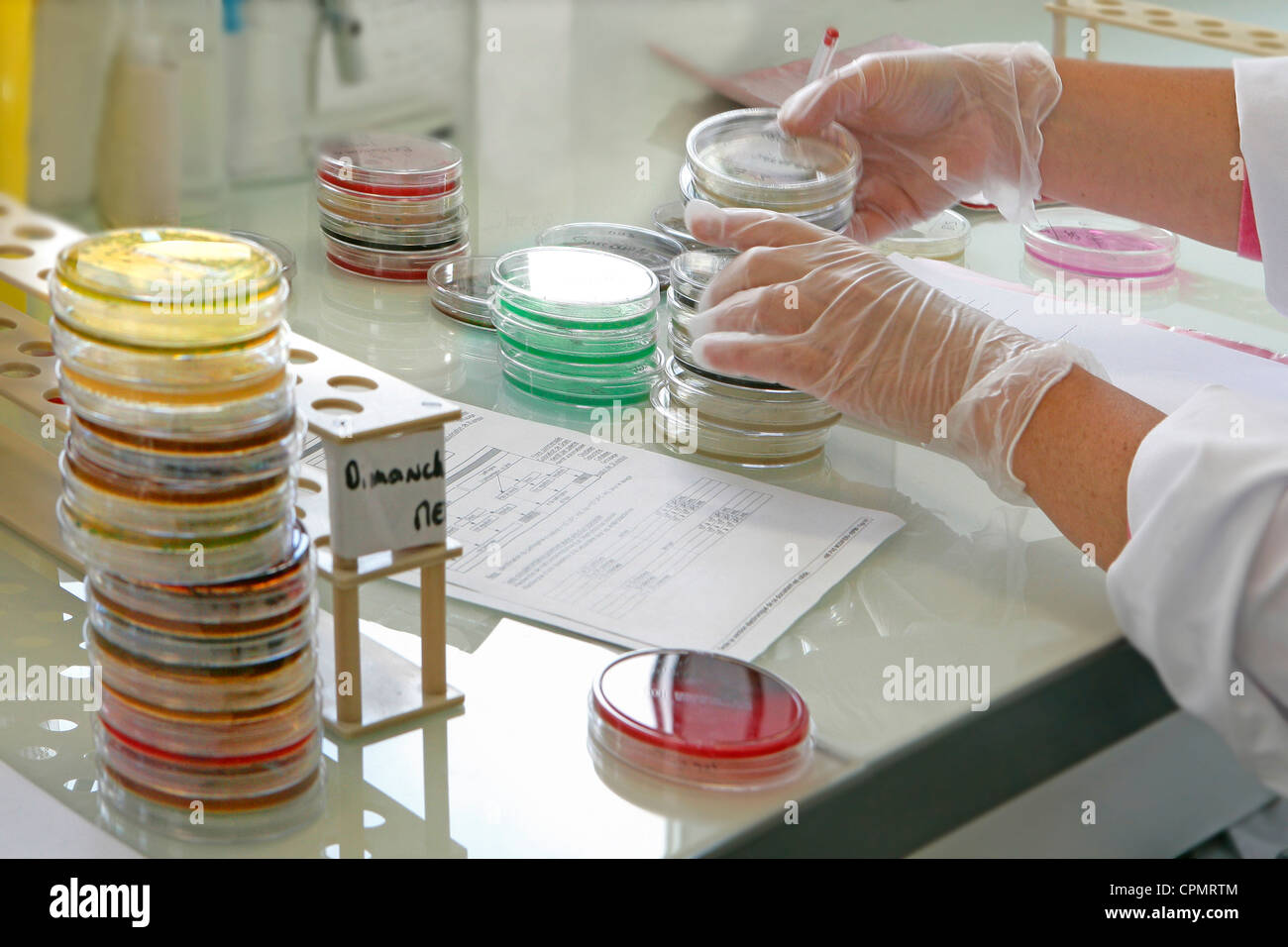 Stack of petri dishes hires stock photography and images Alamy
