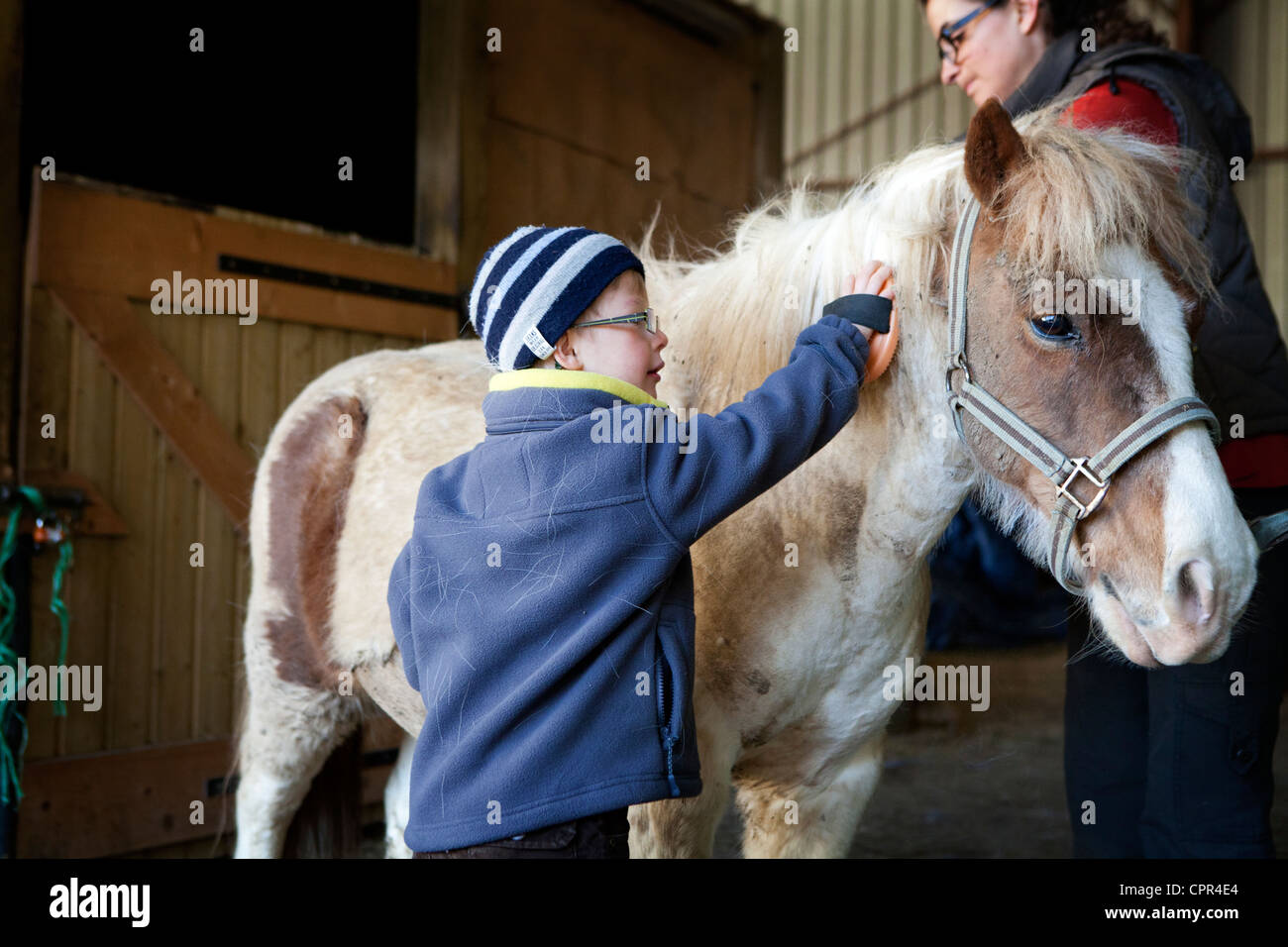 HIPPOTHERAPY Stock Photo Alamy