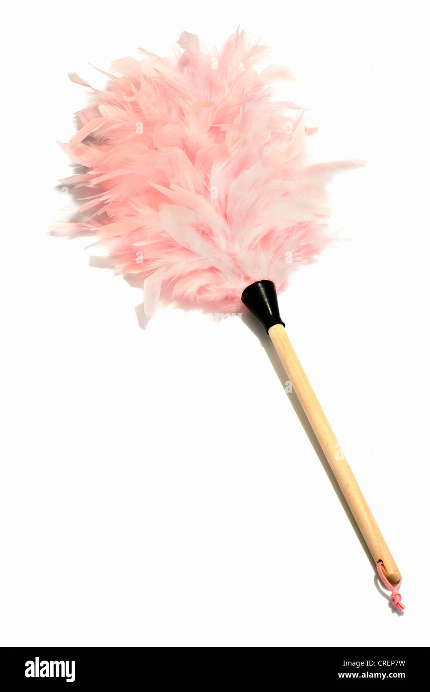 A pink feather duster Stock Photo Alamy