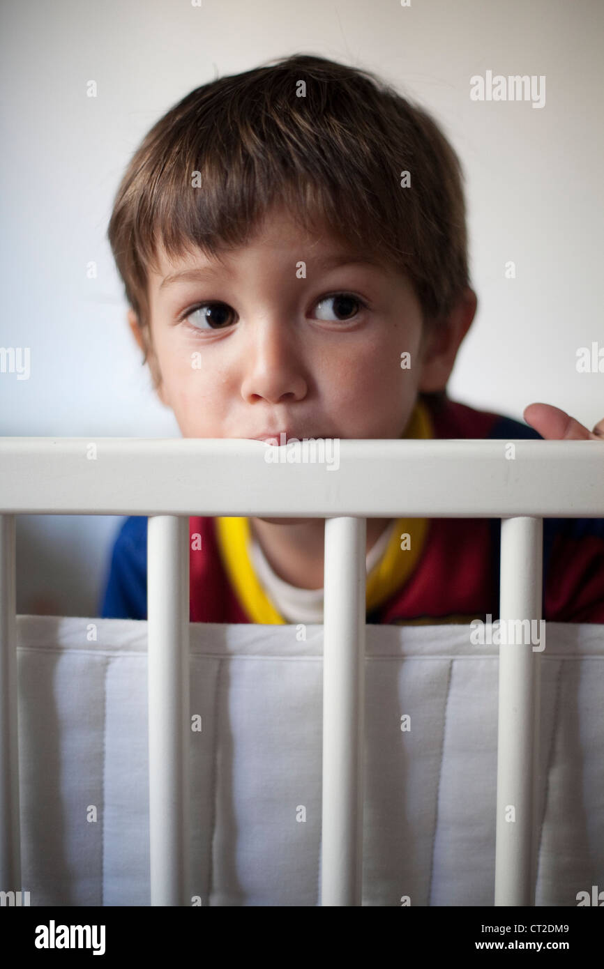 Boy biting a cot Stock Photo Alamy