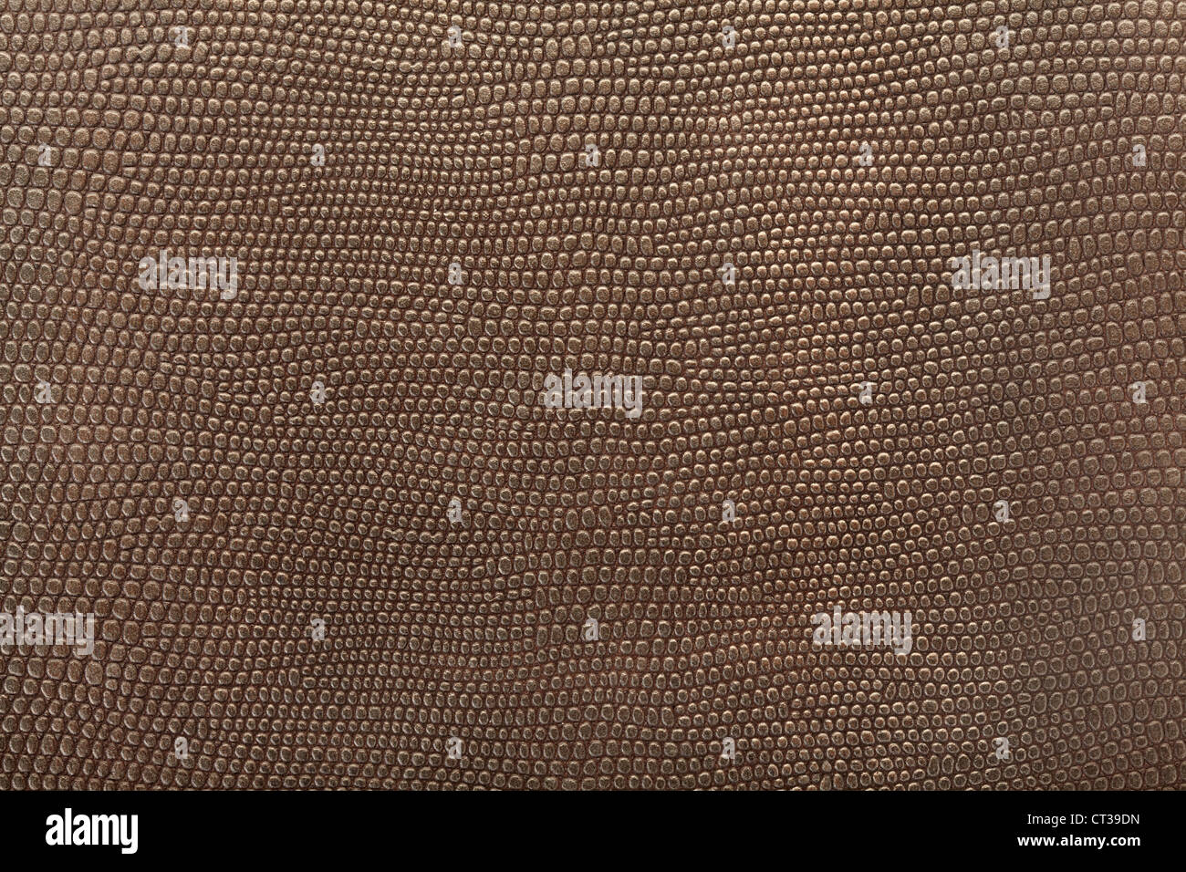 Shark skin texture background Stock Photo Alamy