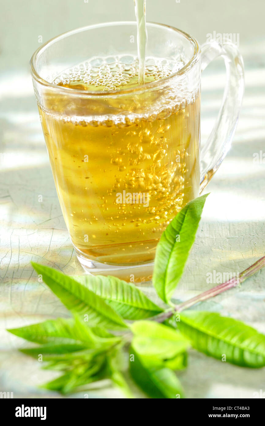 Verveine tea hires stock photography and images Alamy