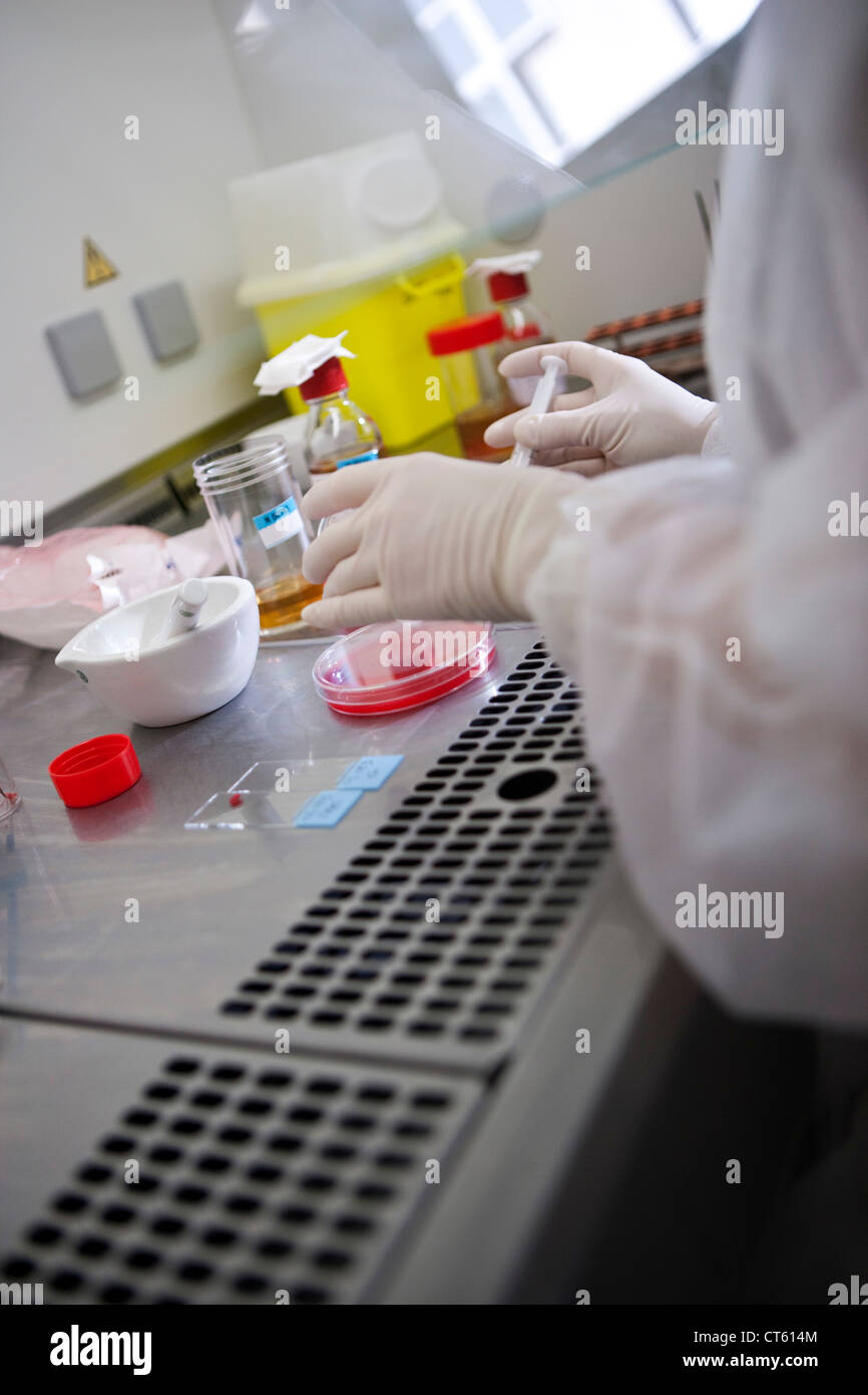 BACTERIOLOGY Stock Photo Alamy