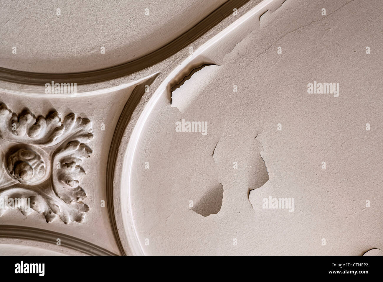 Peeling ceiling paint Stock Photo Alamy