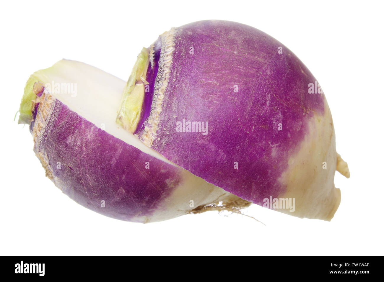 Turnip Isolated High Resolution Stock Photography and Images Alamy