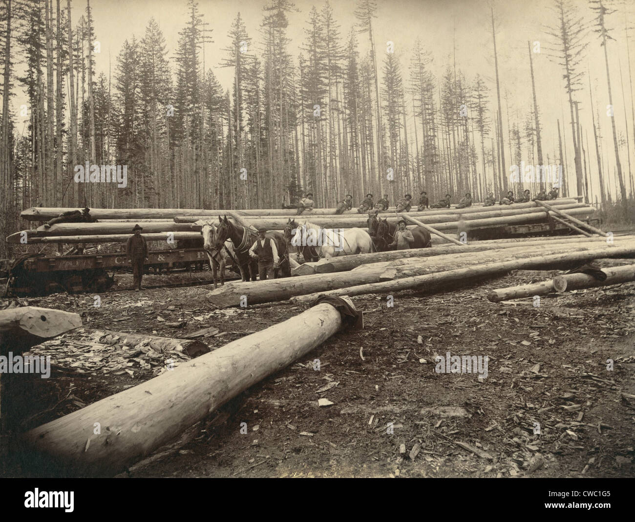 Lumber industry 19th century hires stock photography and images Alamy