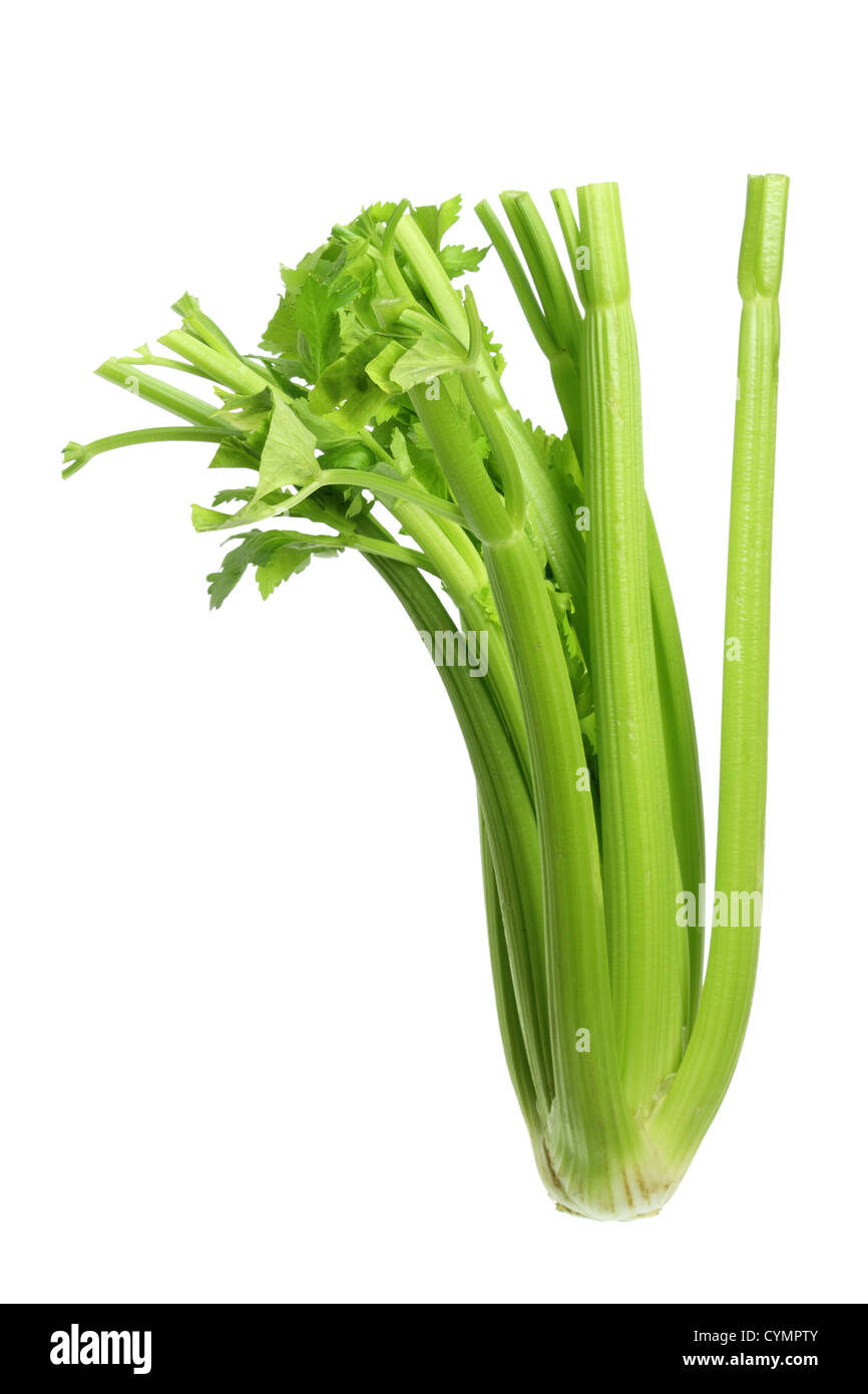 Celery stalk hires stock photography and images Alamy
