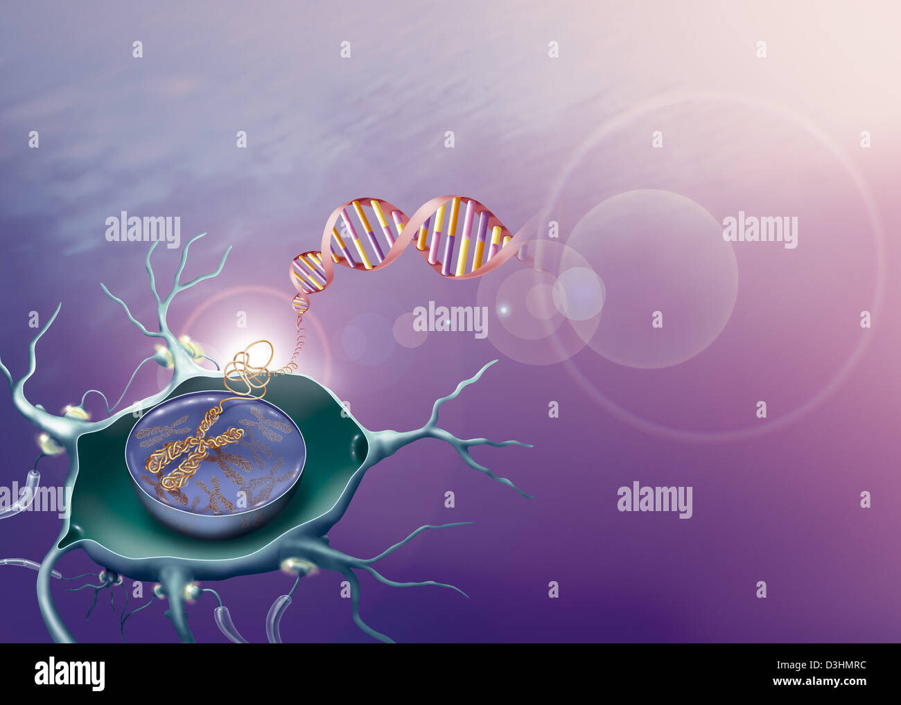 Chain of neurons hires stock photography and images Alamy