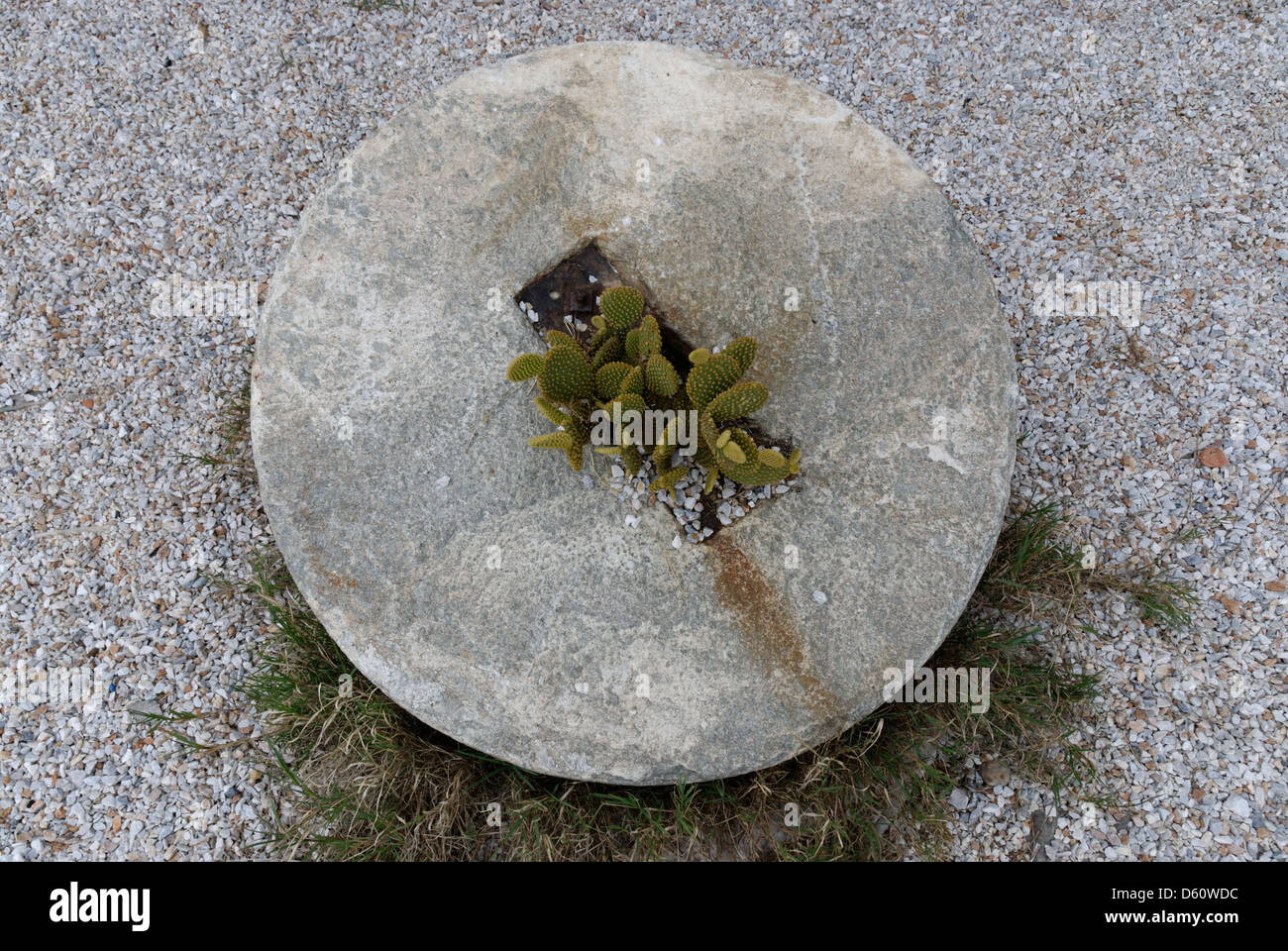 Alternative zu einem 'Blumentopf Stock Photo Alamy